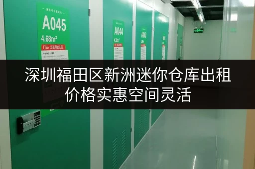 深圳福田区新洲迷你仓库出租价格实惠空间灵活 深圳福田区新洲迷你仓库出租价格实惠空间灵活