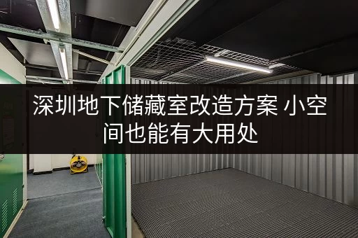 深圳地下储藏室改造方案 小空间也能有大用处 深圳地下储藏室改造方案 小空间也能有大用处