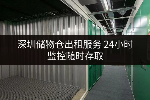 深圳储物仓出租服务 24小时监控随时存取