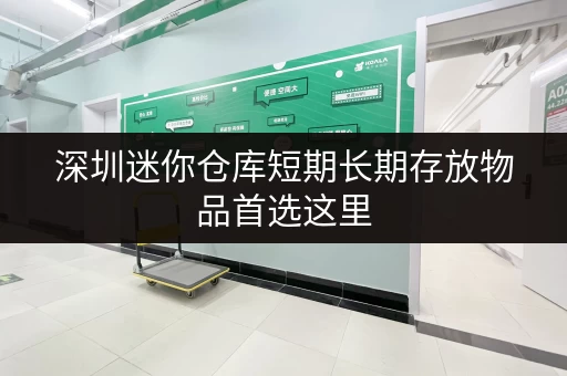 深圳迷你仓库短期长期存放物品首选这里