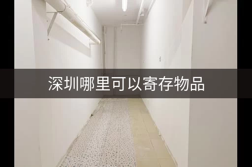 深圳哪里可以寄存物品，哪里可以寄存物品等别人来取