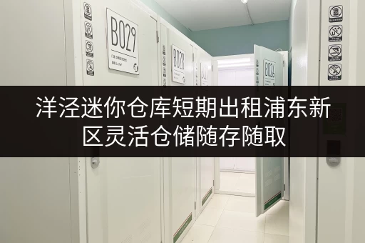 洋泾迷你仓库短期出租浦东新区灵活仓储随存随取 洋泾迷你仓库短期出租浦东新区灵活仓储随存随取