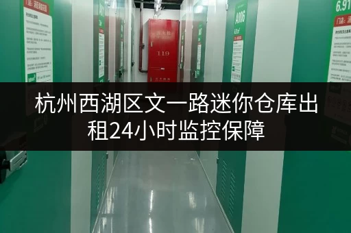 杭州西湖区文一路迷你仓库出租24小时监控保障 杭州西湖区文一路迷你仓库出租24小时监控保障