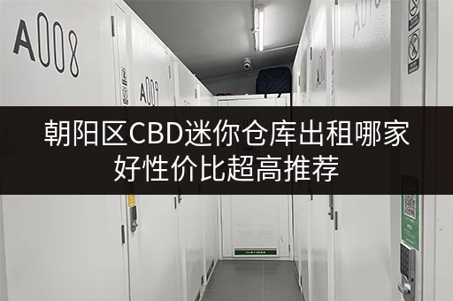 朝阳区CBD迷你仓库出租哪家好性价比超高推荐 朝阳区CBD迷你仓库出租哪家好性价比超高推荐