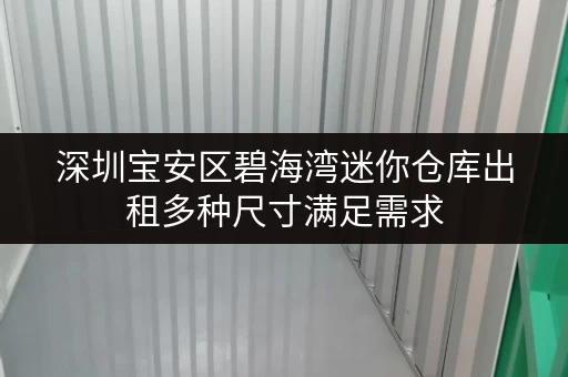 深圳宝安区碧海湾迷你仓库出租多种尺寸满足需求