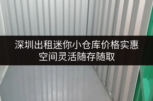 深圳出租迷你小仓库价格实惠空间灵活随存随取 深圳出租迷你小仓库价格实惠空间灵活随存随取