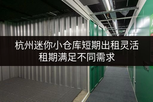 杭州迷你小仓库短期出租灵活租期满足不同需求 杭州迷你小仓库短期出租灵活租期满足不同需求