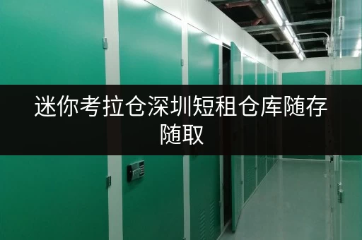 迷你考拉仓深圳短租仓库随存随取,工具设备存储新选择 迷你考拉仓深圳短租仓库随存随取,工具设备存储新选择