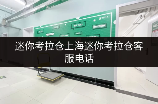 迷你考拉仓上海迷你考拉仓客服电话,揭秘如何精准选择存储面积 迷你考拉仓上海迷你考拉仓客服电话,揭秘如何精准选择存储面积