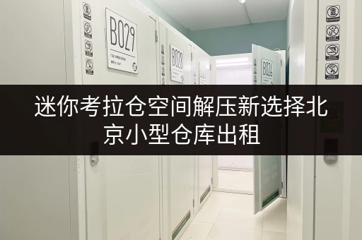 迷你考拉仓空间解压新选择北京小型仓库出租，释放家庭空间，提升生活品质