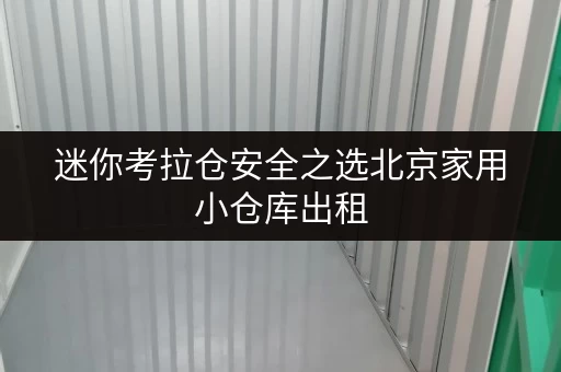 迷你考拉仓安全之选北京家用小仓库出租，价格透明，温湿监控，让您的物品安心“栖息”