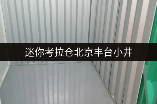 迷你考拉仓北京丰台小井，迷你仓出租，透明价格，轻松收纳无忧