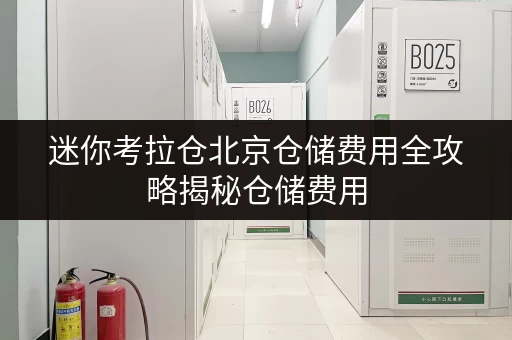 迷你考拉仓北京仓储费用全攻略揭秘仓储费用,教你如何省钱又省心 迷你考拉仓北京仓储费用全攻略揭秘仓储费用,教你如何省钱又省心