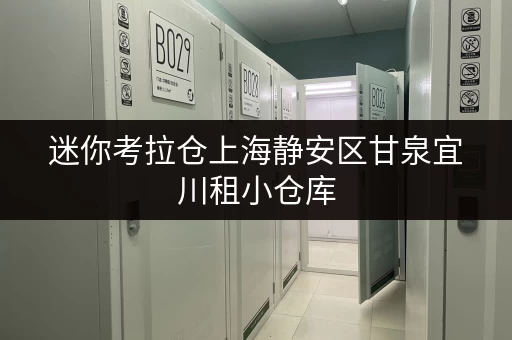迷你考拉仓上海静安区甘泉宜川租小仓库,性价比与便捷并存,揭秘租金真相! 迷你考拉仓上海静安区甘泉宜川租小仓库,性价比与便捷并存,揭秘租金真相!
