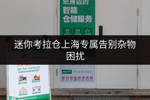 迷你考拉仓上海专属告别杂物困扰,小仓库出租让您物品存放更省心 迷你考拉仓上海专属告别杂物困扰,小仓库出租让您物品存放更省心