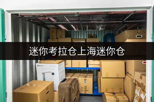 迷你考拉仓上海迷你仓，全天候服务，租金亲民，你的便捷储物好帮手！