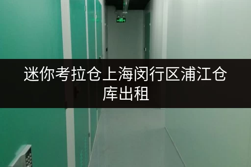 迷你考拉仓上海闵行区浦江仓库出租,存取便捷,全时段服务,轻松解决您的仓储难题 迷你考拉仓上海闵行区浦江仓库出租,存取便捷,全时段服务,轻松解决您的仓储难题