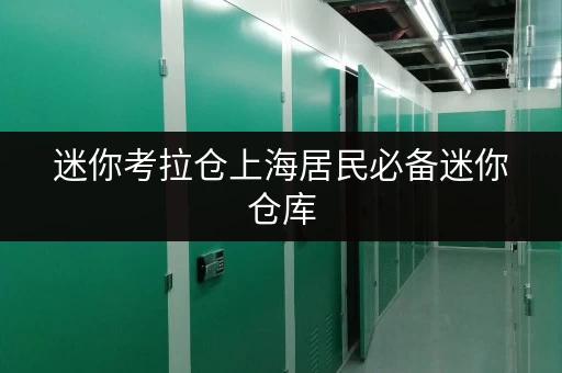 迷你考拉仓上海居民必备迷你仓库,安全与温湿监控双重保障,让你的物品安“心”存储 迷你考拉仓上海居民必备迷你仓库,安全与温湿监控双重保障,让你的物品安“心”存储