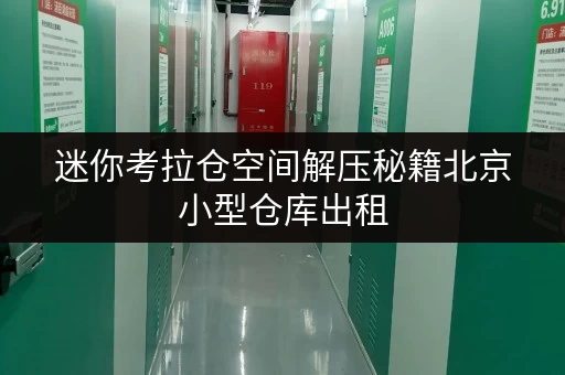 迷你考拉仓空间解压秘籍北京小型仓库出租,轻松释放家庭空间,提升生活品质 迷你考拉仓空间解压秘籍北京小型仓库出租,轻松释放家庭空间,提升生活品质