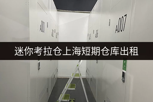 迷你考拉仓上海短期仓库出租,告别空间焦虑,尽享便捷生活 迷你考拉仓上海短期仓库出租,告别空间焦虑,尽享便捷生活