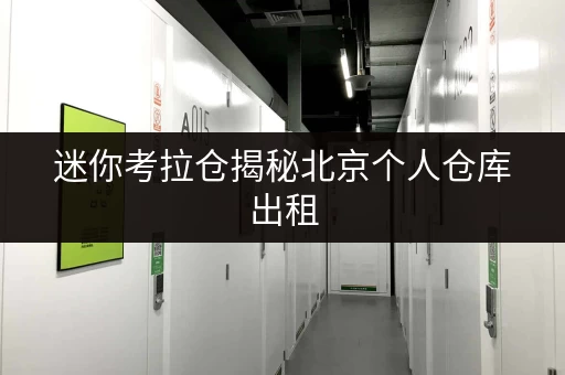 迷你考拉仓揭秘北京个人仓库出租，省钱攻略大公开！