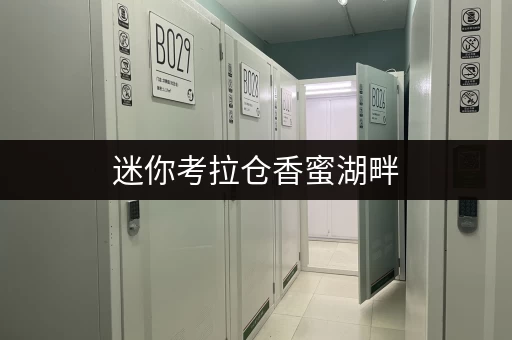 迷你考拉仓香蜜湖畔，释放空间，提升生活品质——福田区迷你仓出租全攻略
