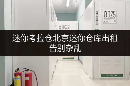 迷你考拉仓北京迷你仓库出租告别杂乱,让货物存放更省心! 迷你考拉仓北京迷你仓库出租告别杂乱,让货物存放更省心!