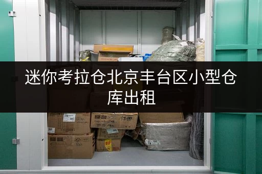 迷你考拉仓北京丰台区小型仓库出租,安全温湿监控,您的物品存储守护者 迷你考拉仓北京丰台区小型仓库出租,安全温湿监控,您的物品存储守护者