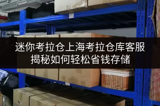 迷你考拉仓上海考拉仓库客服揭秘如何轻松省钱存储,告别价格迷茫 迷你考拉仓上海考拉仓库客服揭秘如何轻松省钱存储,告别价格迷茫