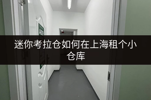 迷你考拉仓如何在上海租个小仓库,让货物存放更省心? 迷你考拉仓如何在上海租个小仓库,让货物存放更省心?