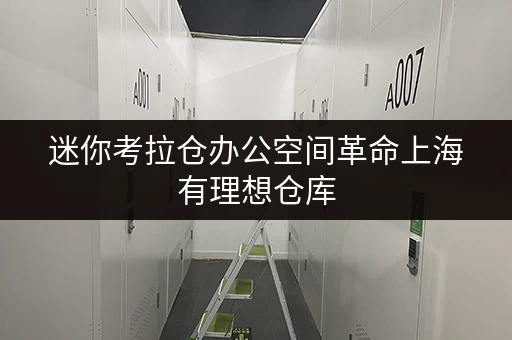 迷你考拉仓办公空间革命上海有理想仓库,让办公用品存放不再头疼 迷你考拉仓办公空间革命上海有理想仓库,让办公用品存放不再头疼
