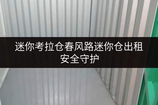 迷你考拉仓春风路迷你仓出租安全守护，温湿监控，让您的物品安心“住”下来