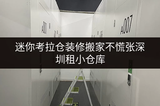 迷你考拉仓装修搬家不慌张深圳租小仓库，价格透明全攻略