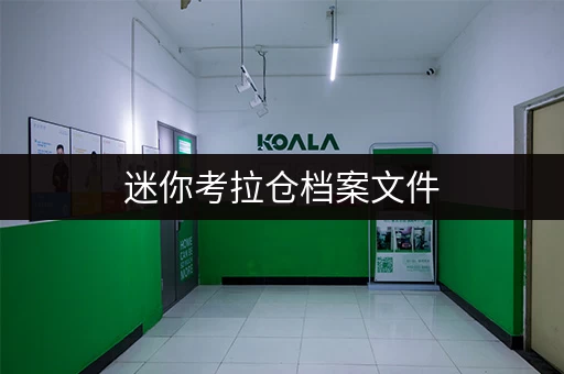 迷你考拉仓档案文件,安全存放新选择——上海迷你仓,价格透明,安全无忧 迷你考拉仓档案文件,安全存放新选择——上海迷你仓,价格透明,安全无忧