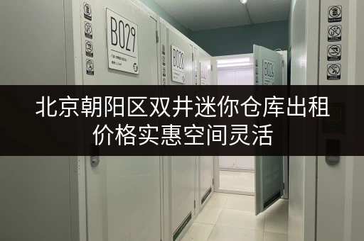 北京朝阳区双井迷你仓库出租价格实惠空间灵活 北京朝阳区双井迷你仓库出租价格实惠空间灵活