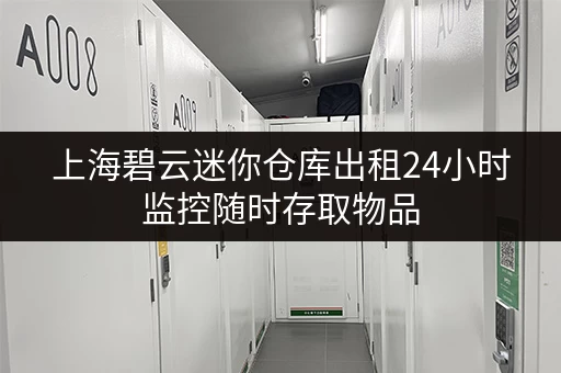 上海碧云迷你仓库出租24小时监控随时存取物品 上海碧云迷你仓库出租24小时监控随时存取物品