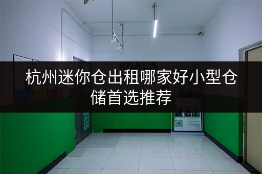杭州迷你仓出租哪家好小型仓储首选推荐