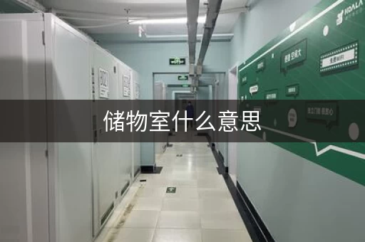 储物室什么意思，储物室设计效果图大全