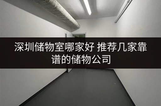 深圳储物室哪家好 推荐几家靠谱的储物公司