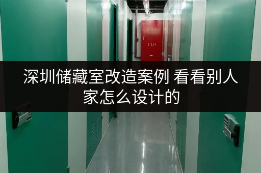 深圳储藏室改造案例 看看别人家怎么设计的 深圳储藏室改造案例 看看别人家怎么设计的
