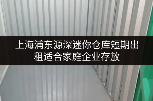 上海浦东源深迷你仓库短期出租适合家庭企业存放 上海浦东源深迷你仓库短期出租适合家庭企业存放