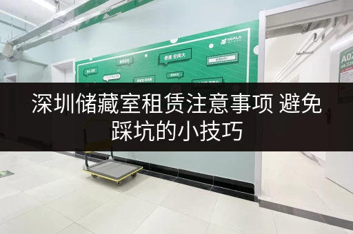 深圳储藏室租赁注意事项 避免踩坑的小技巧 深圳储藏室租赁注意事项 避免踩坑的小技巧
