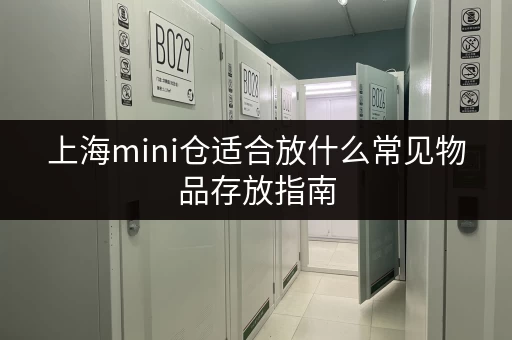 上海mini仓适合放什么常见物品存放指南