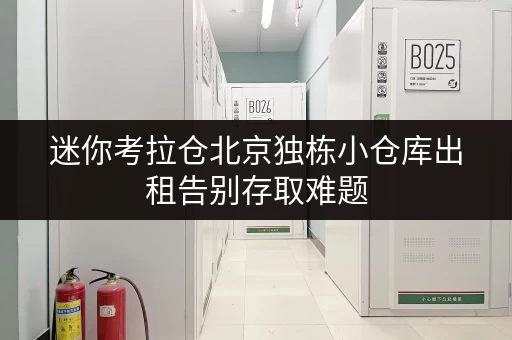 迷你考拉仓北京独栋小仓库出租告别存取难题，全时段服务让您无忧！