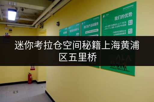 迷你考拉仓空间秘籍上海黄浦区五里桥,如何选择最适合你的迷你仓? 迷你考拉仓空间秘籍上海黄浦区五里桥,如何选择最适合你的迷你仓?