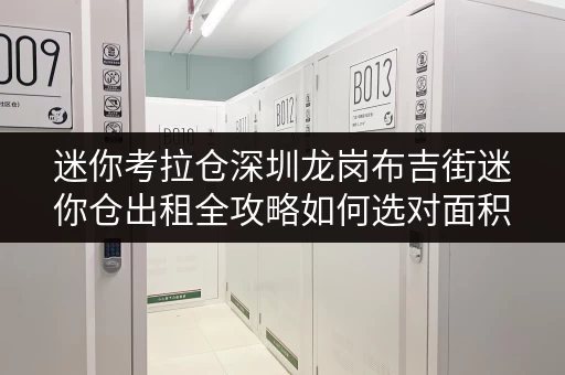 迷你考拉仓深圳龙岗布吉街迷你仓出租全攻略如何选对面积，轻松收纳生活？