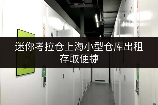 迷你考拉仓上海小型仓库出租存取便捷,全天候服务,价格透明全攻略 迷你考拉仓上海小型仓库出租存取便捷,全天候服务,价格透明全攻略