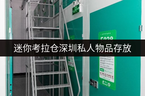 迷你考拉仓深圳私人物品存放,安全与温湿监控护航您的宝贝 迷你考拉仓深圳私人物品存放,安全与温湿监控护航您的宝贝