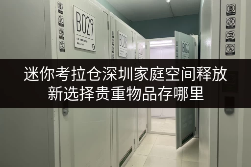 迷你考拉仓深圳家庭空间释放新选择贵重物品存哪里,安全与便捷并存 迷你考拉仓深圳家庭空间释放新选择贵重物品存哪里,安全与便捷并存