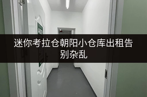 迷你考拉仓朝阳小仓库出租告别杂乱，货物存放更省心的存储方案